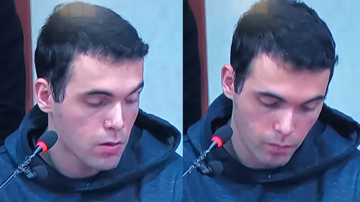 turetta volto