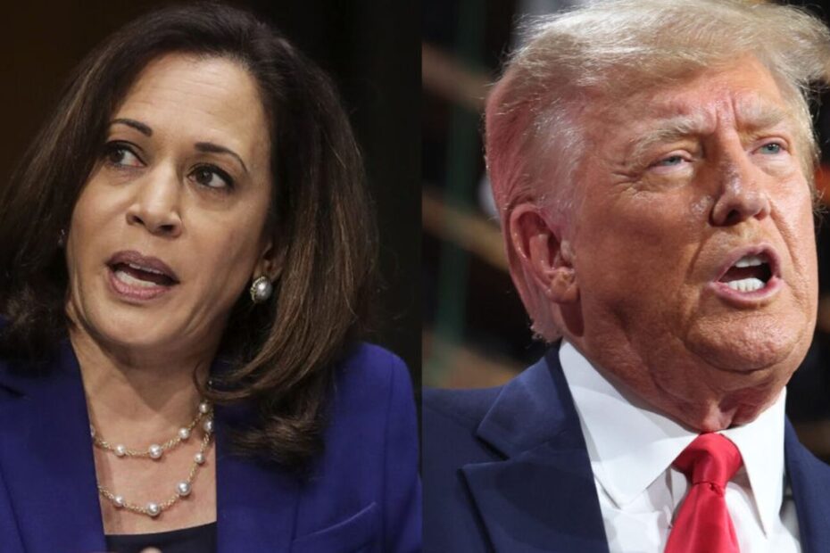 Trump Harris New Hampshire