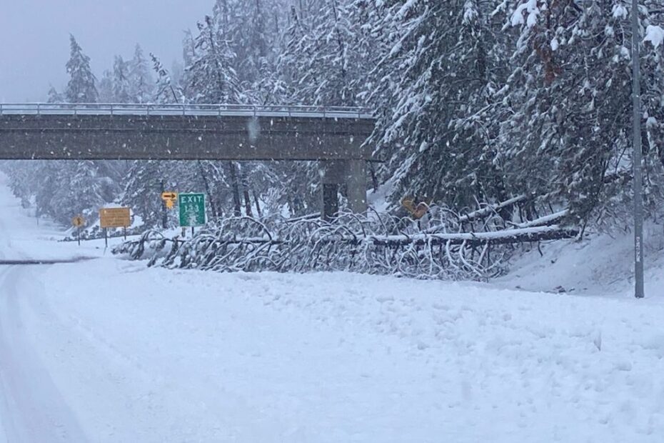 California tempesta neve morti
