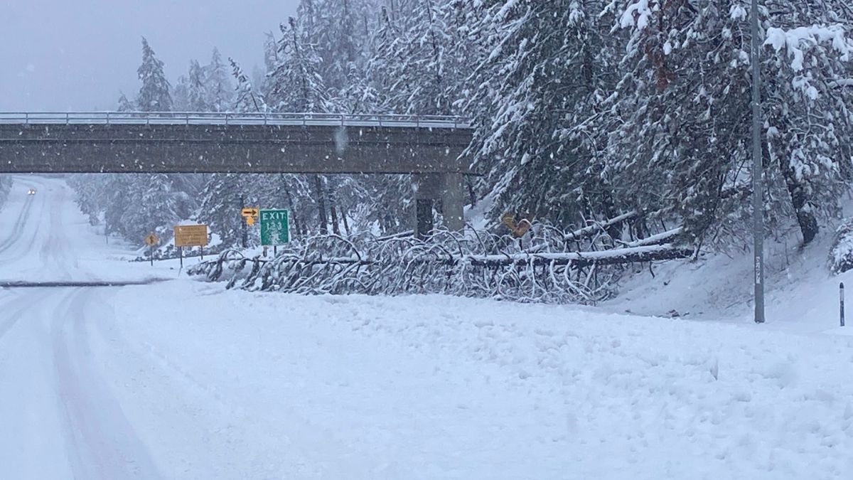 California tempesta neve morti