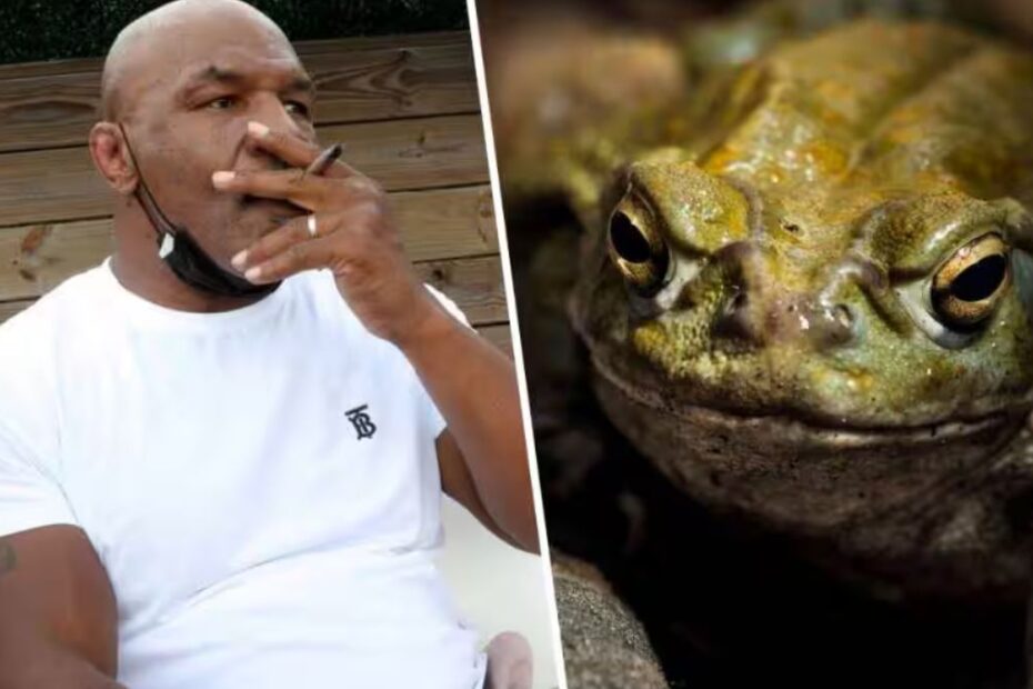Mike Tyson veleno rospo