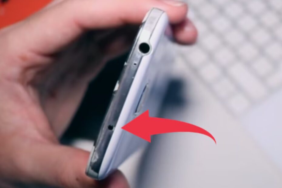 buchetto nello smartphone