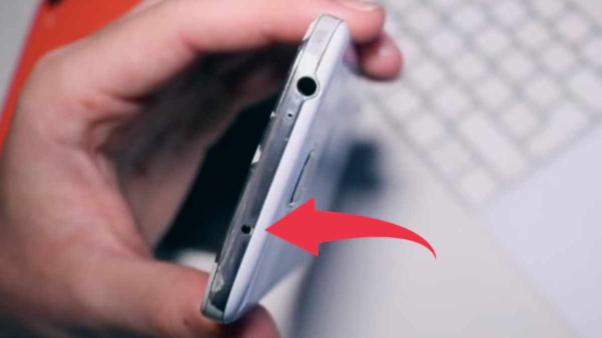 buchetto nello smartphone