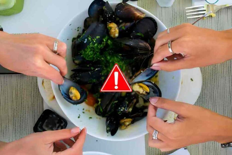cozze
