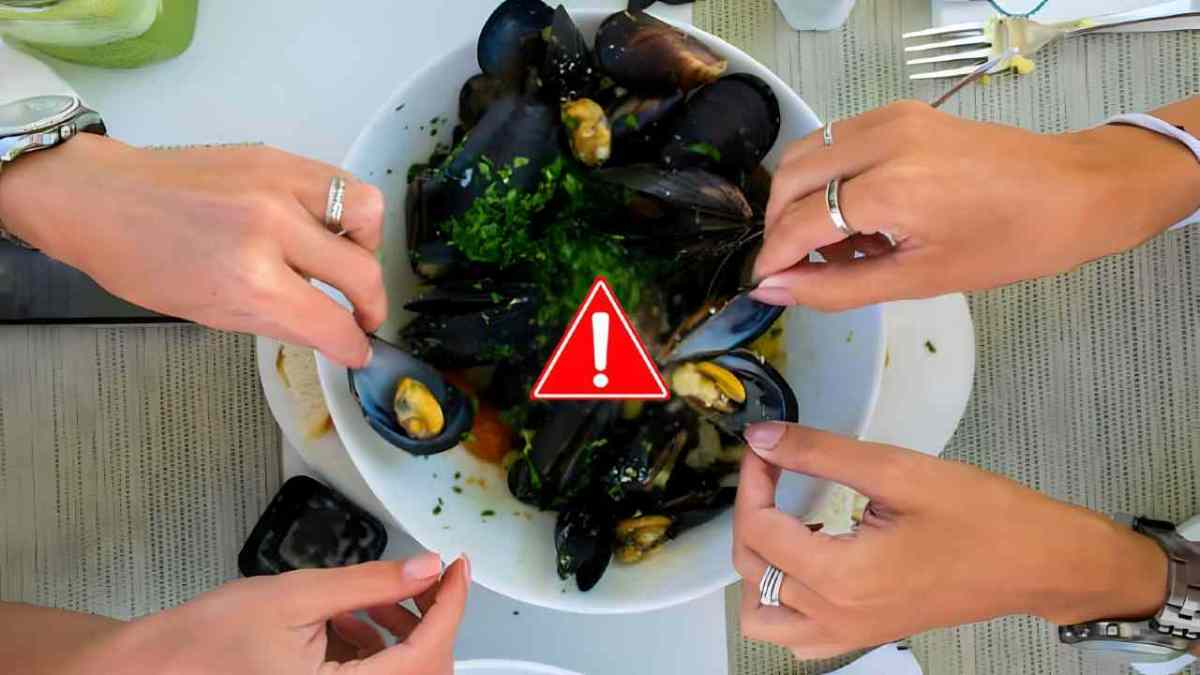 cozze