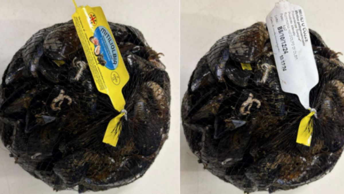 escherichia coli cozze Sardegna