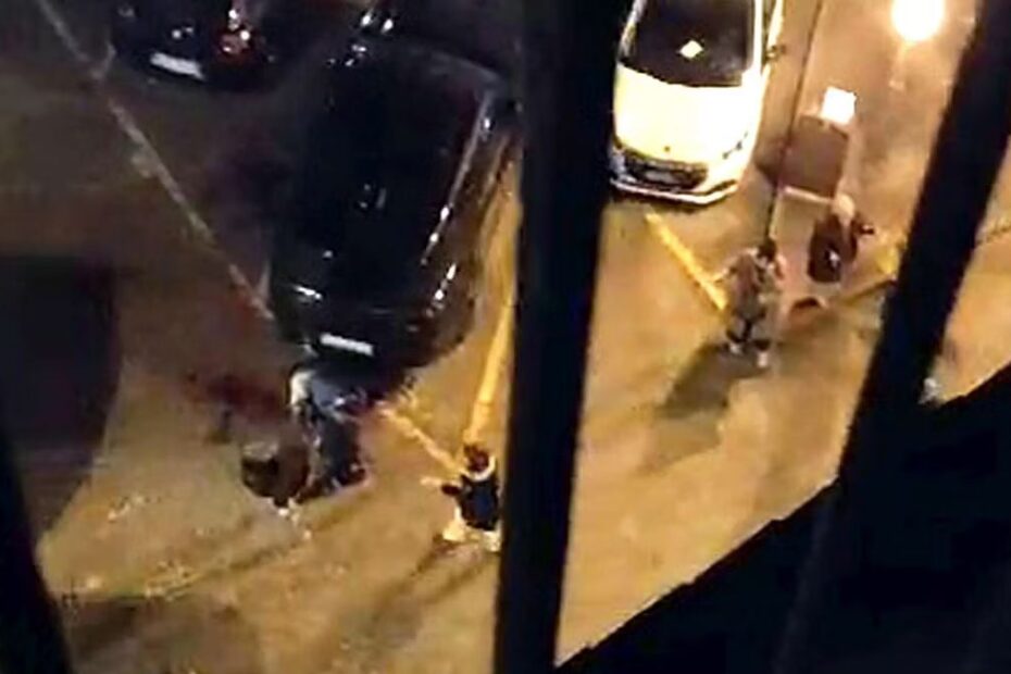 Morto 22enne accoltellato Treviso