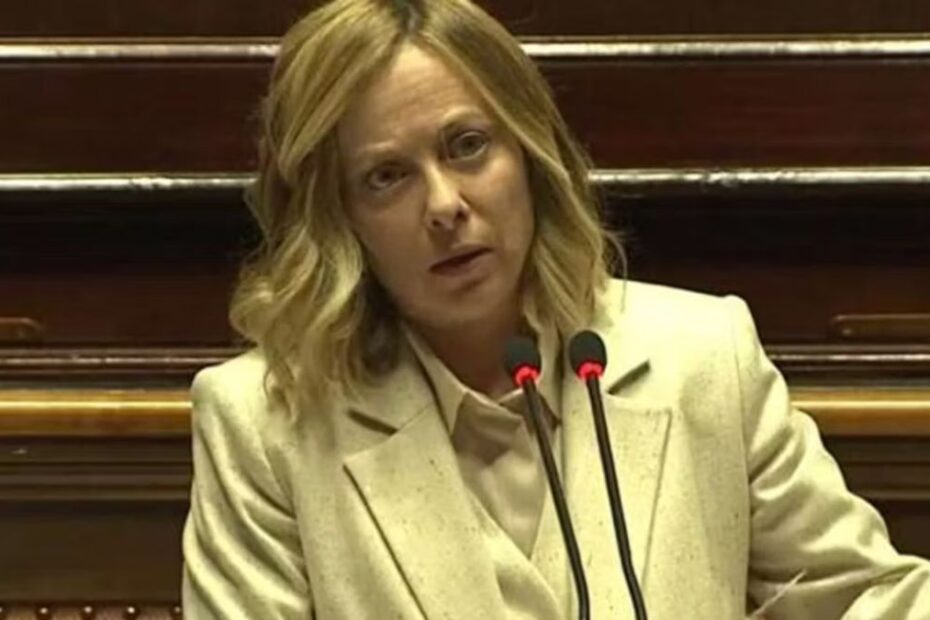 Meloni Musk ordini libera