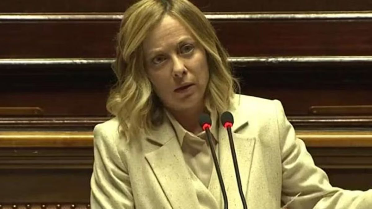 Meloni Musk ordini libera