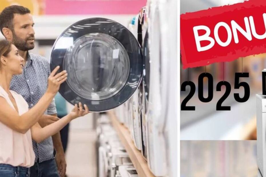 bonus elettrodomestici