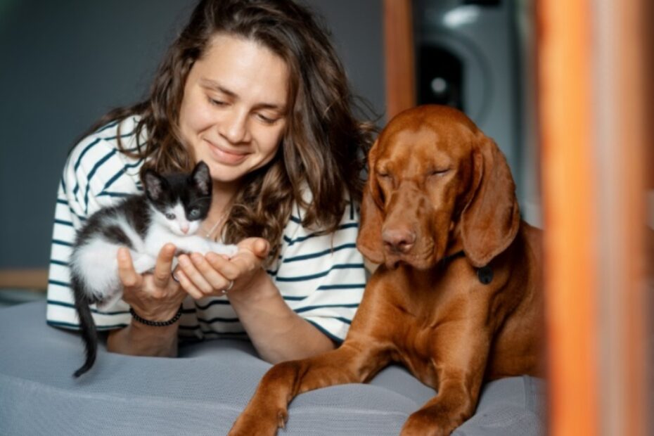 bonus animali domestici