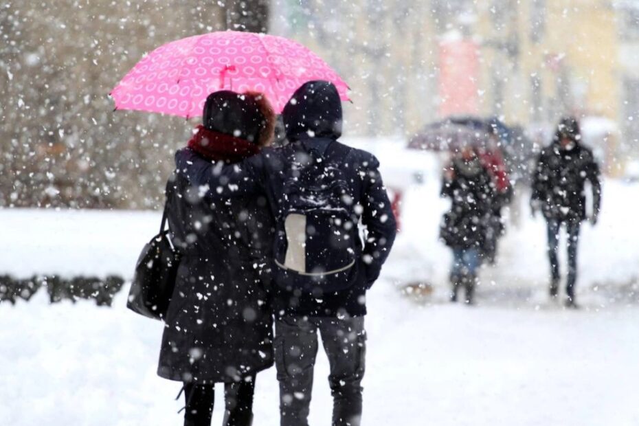 previsioni meteo ondate polari