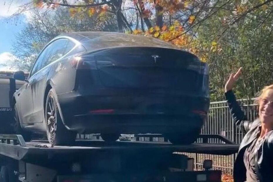 Sheryl Crow Tesla Musk
