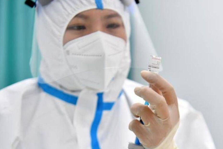 nuovo coronavirus Cina pipistrelli