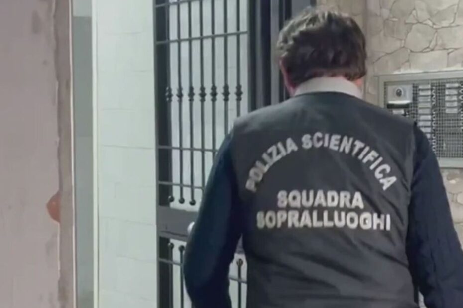Acerra veterinario pitbull aggressività