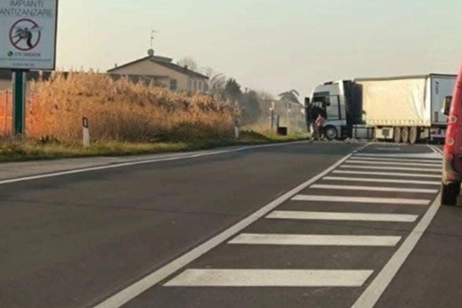 auto camion Bologna morte
