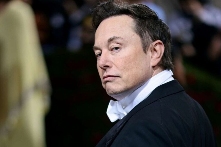 Musk Usa Nato Onu