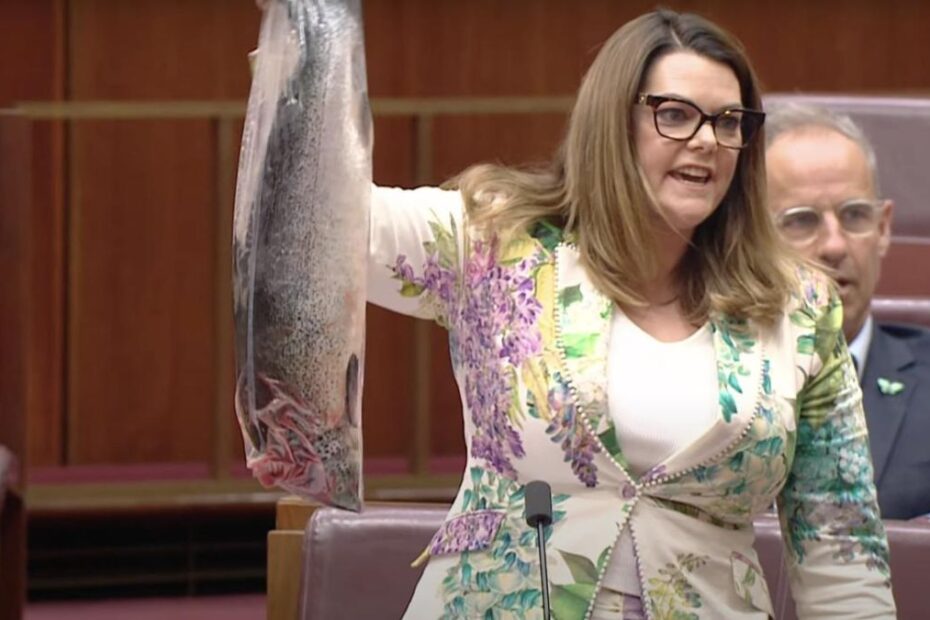 Australia salmone morto Senato