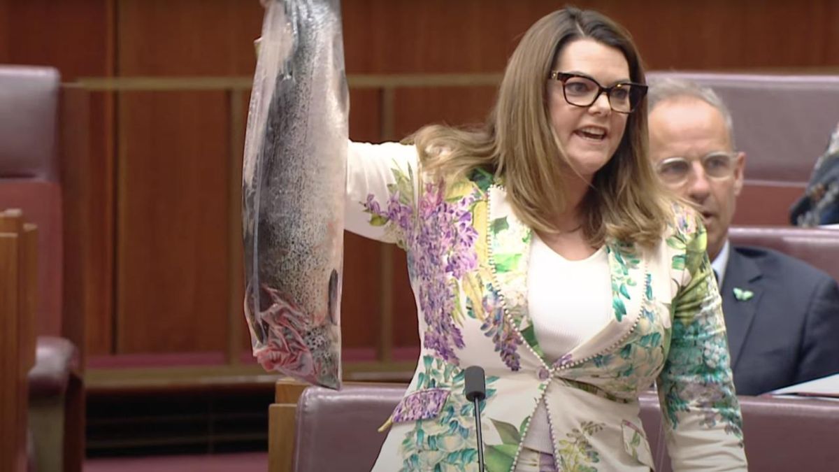 Australia salmone morto Senato