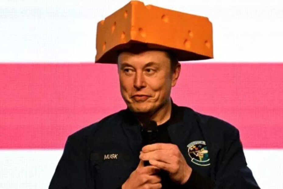 Musk show cappello formaggio