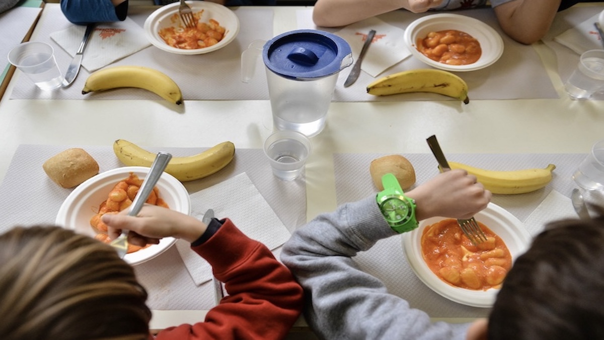 Padova lama da Thesocialpost.it Padova lama di taglierino nel pane della mensa scolastica | sospeso il fornitore