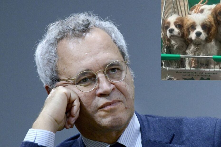 Mentana cani carrello supermercato