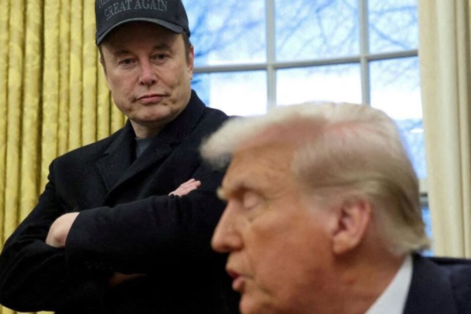 Musk Trump dazi retroscena