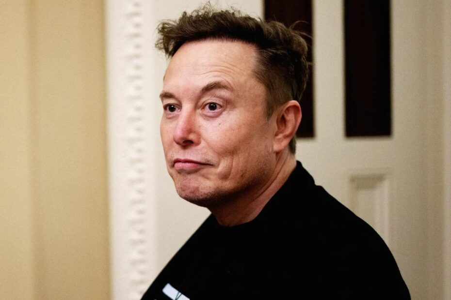 Musk bullizzato diretta streaming