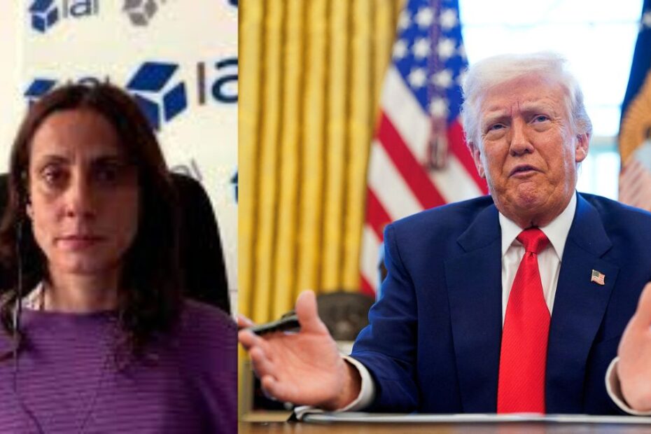Trump Tocci boss mafioso