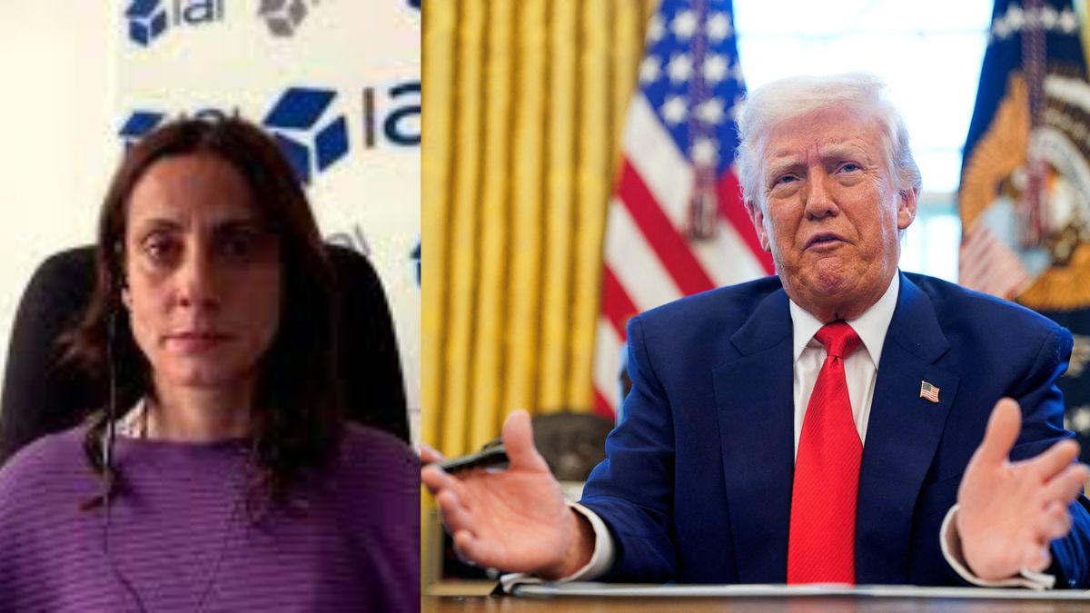 Trump Tocci boss mafioso