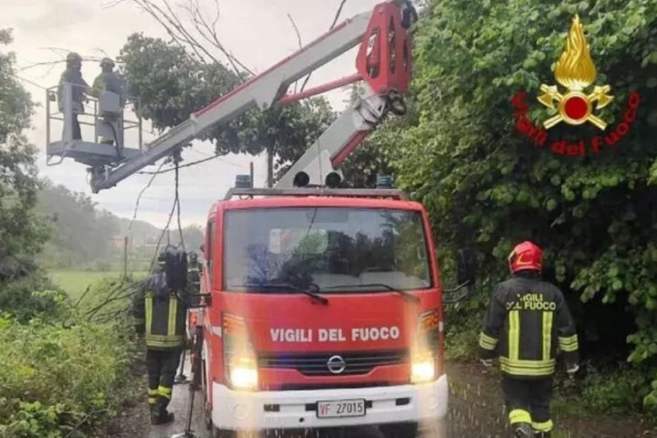 Maltempo Biellese alberi caduti