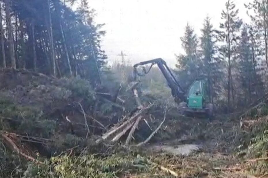 Frana Boccassuolo nel Modenese