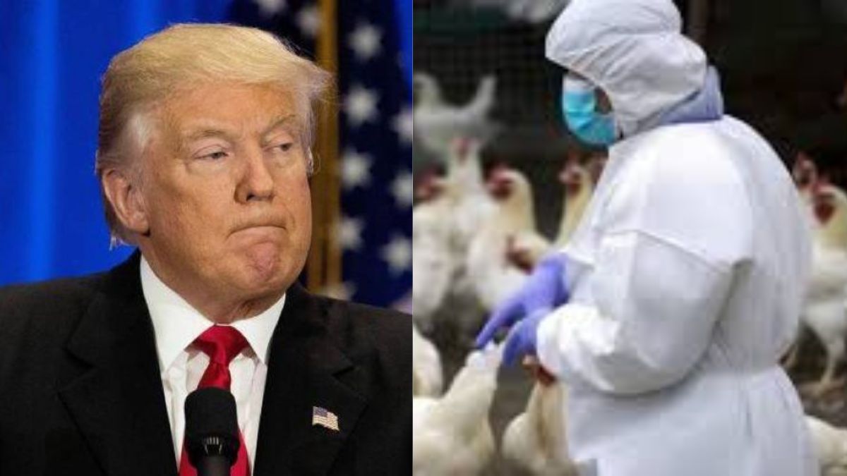 aviaria Trump virologi pandemia
