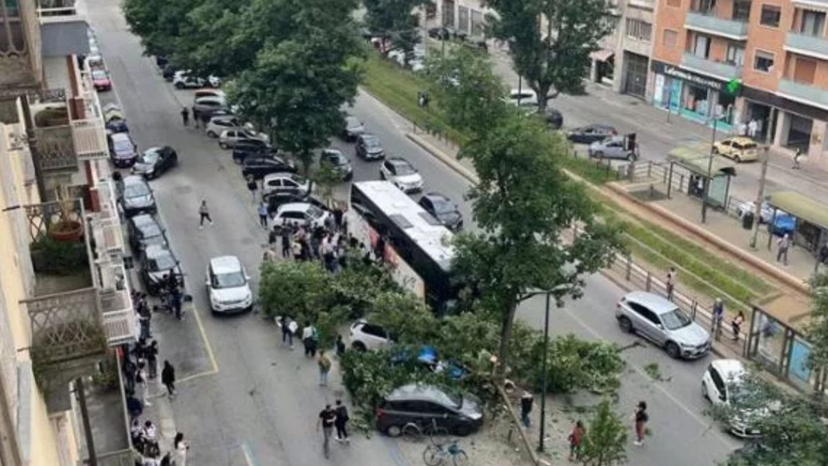 L’albero cade di schianto e centra in pieno il bus: orrore in Italia, a bordo oltre 50 persone