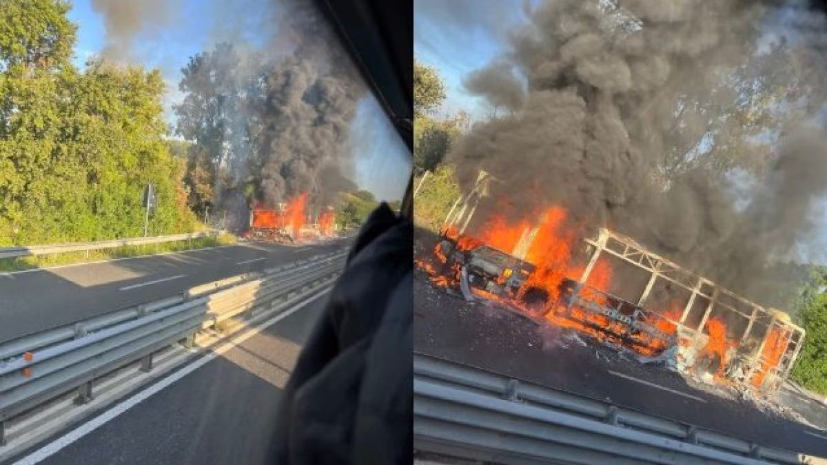 Bus prende fuoco, inferno sulla statale: fiamme alte e fumo, traffico paralizzato Bus prende fuoco, inferno sulla statale: fiamme alte e fumo, traffico paralizzato