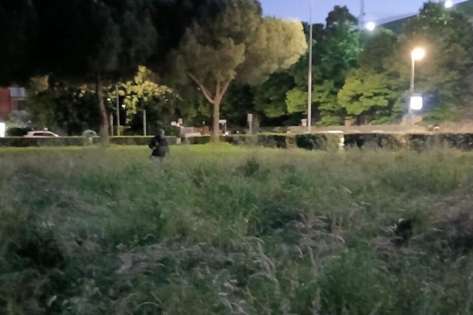 Ucciso coltellate Prato giardini