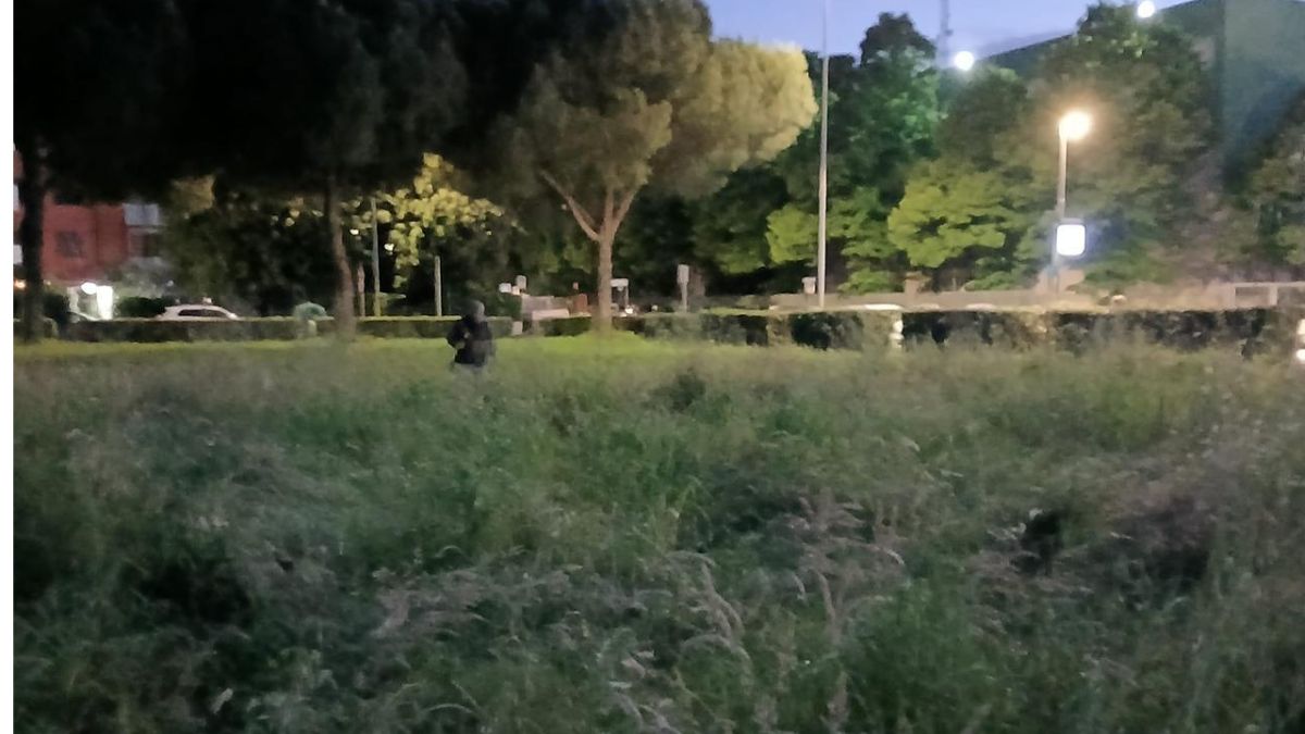 Ucciso a coltellate: trovato in una pozza di sangue ai giardini pubblici