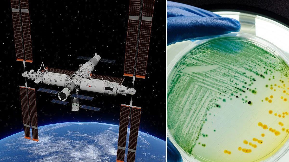 Scoperto batterio sconosciuto nella Stazione Spaziale Cinese: resiste a condizioni estreme Scoperto batterio sconosciuto nella Stazione Spaziale Cinese: resiste a condizioni estreme