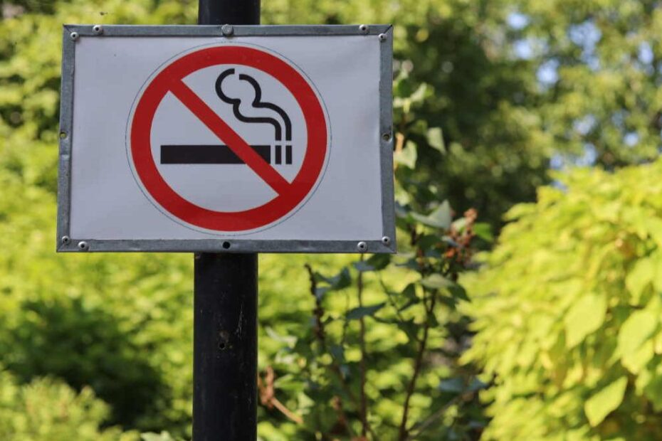 sigarette vietate parchi pubblici