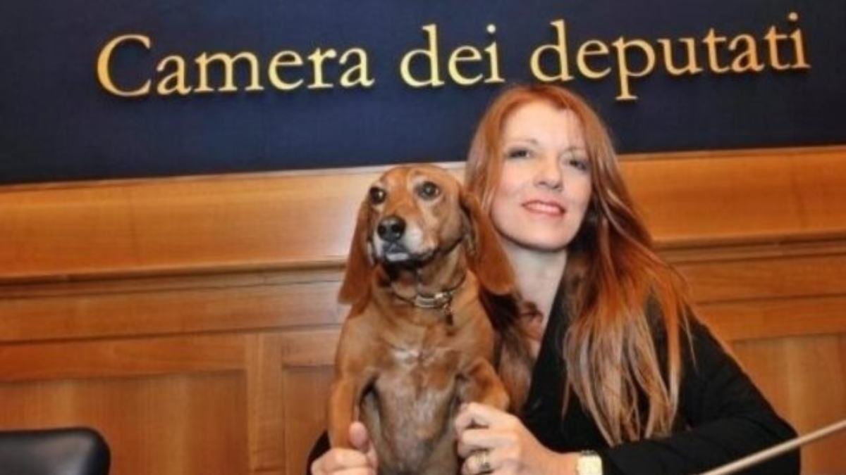 Abbandoni un cucciolo? Da oggi sono guai: la decisione del parlamento Abbandoni un cucciolo? Da oggi sono guai: la decisione del parlamento