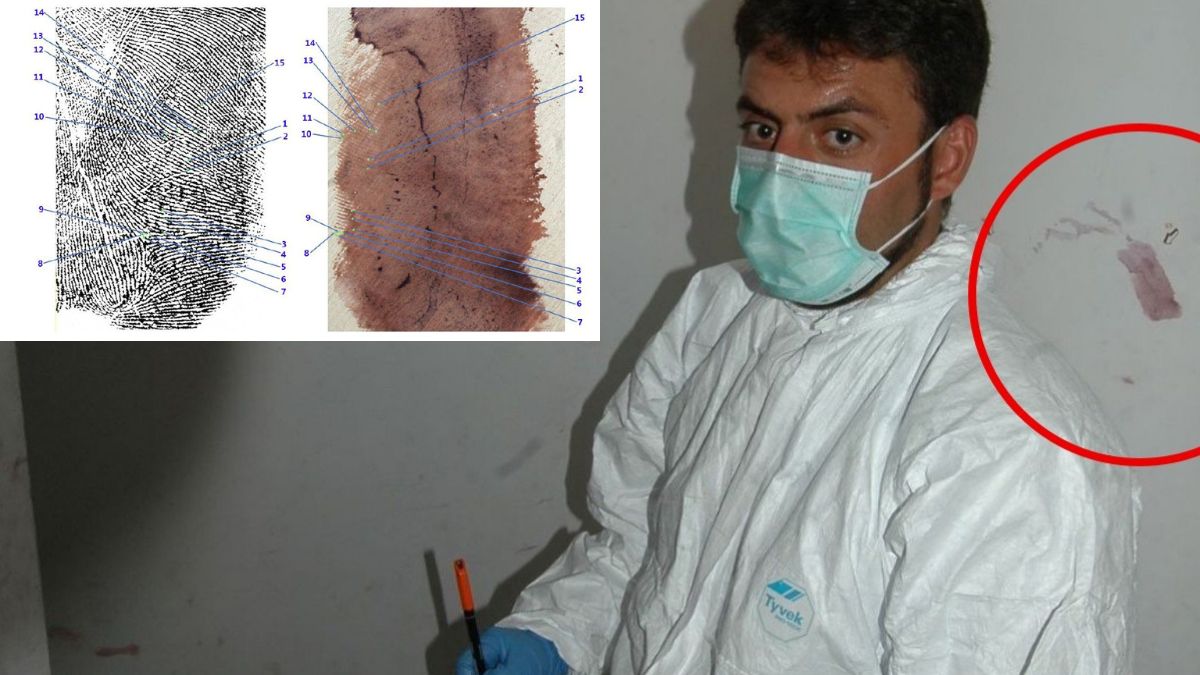 Caso Garlasco: “Ecco la foto che inchioda Andrea Sempio”. La certezza dei magistrati Caso Garlasco: “Ecco la foto che inchioda Andrea Sempio”. La certezza dei magistrati