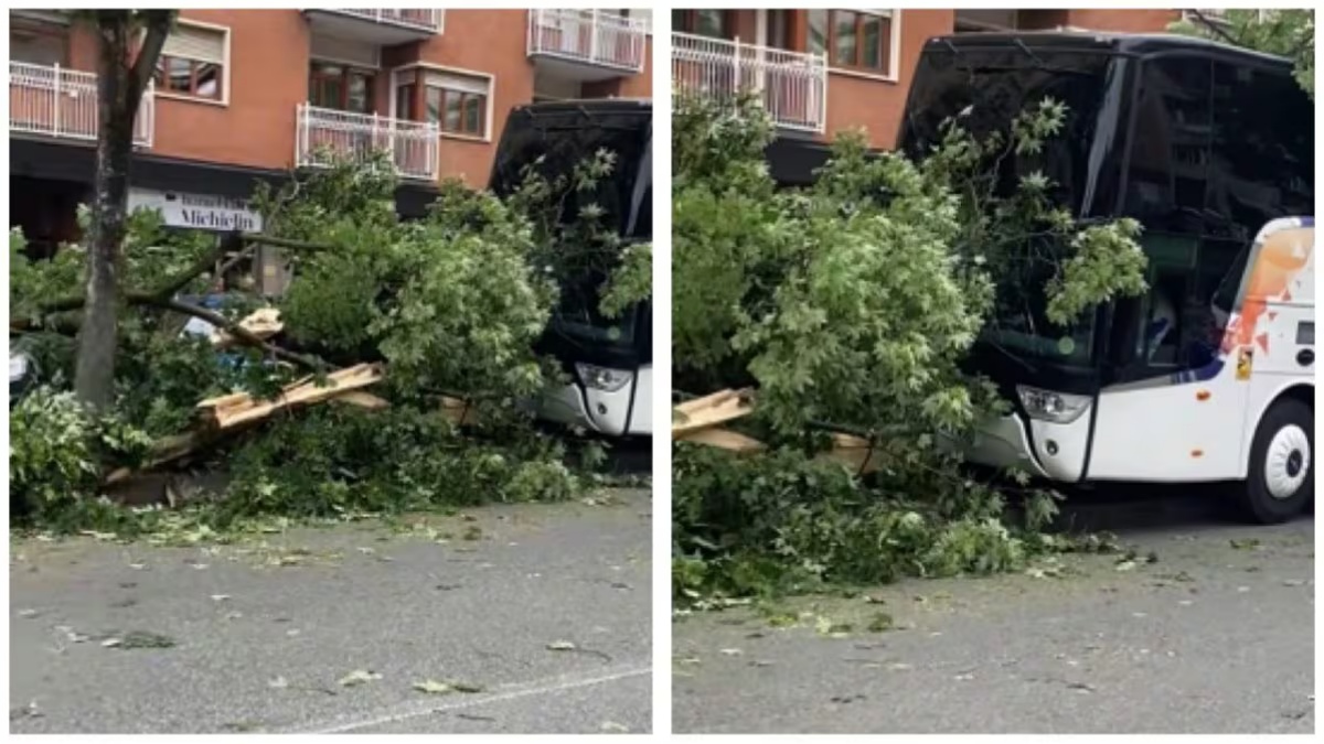 italia bus con una scolaresca si schianta impatto micidiale contro un albero da Thesocialpost.it italia bus con una scolaresca si schianta impatto micidiale contro un albero