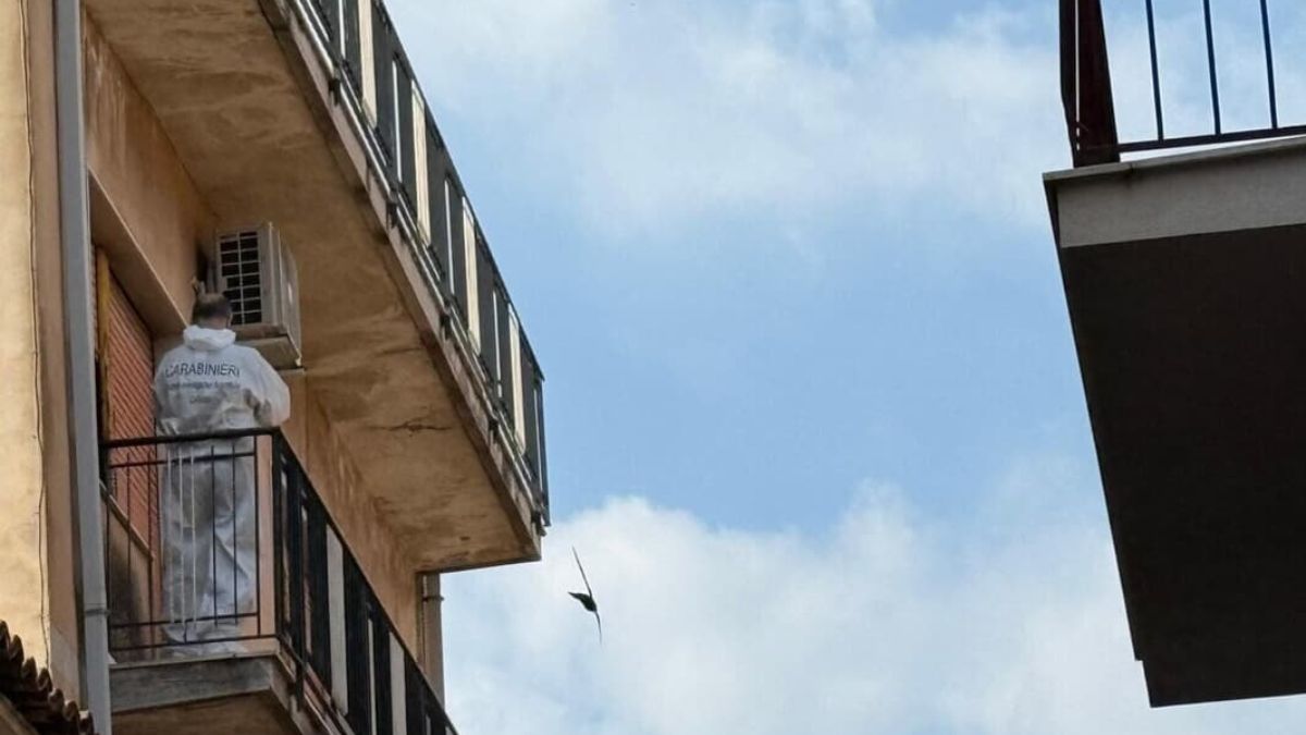 bimba lanciata dal balcone, il figlio di 7 anni ha cercato di impedirlo: le sue parole bimba lanciata dal balcone, il figlio di 7 anni ha cercato di impedirlo: le sue parole