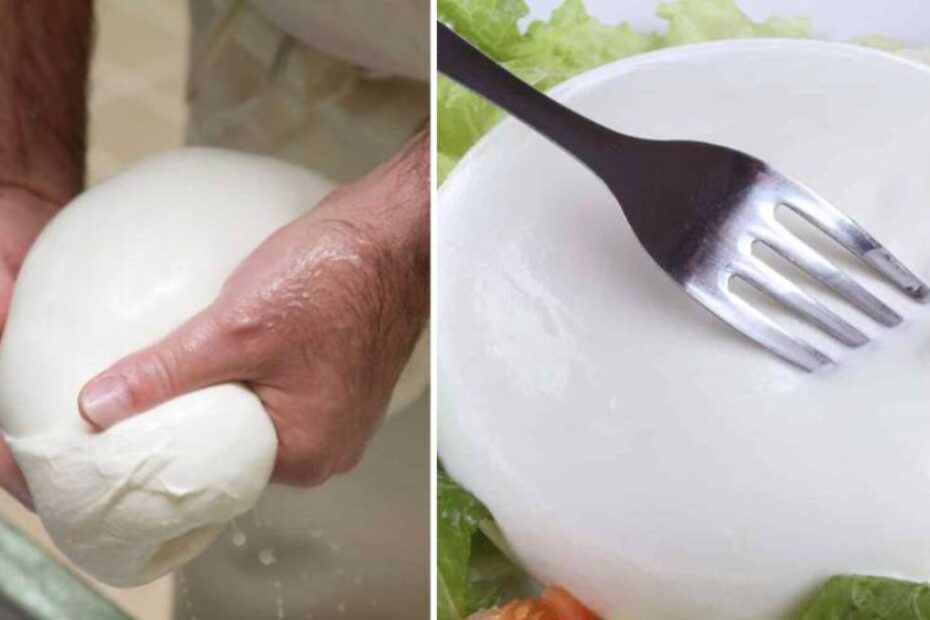 mozzarella di bufala