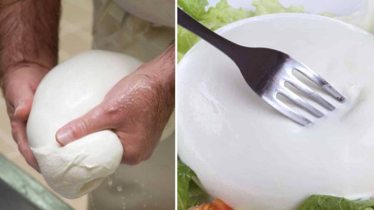 Mozzarella di bufala, gli esperti: “Gli errori che non dovete fare quando la mangiate” Mozzarella di bufala, gli esperti: “Gli errori che non dovete fare quando la mangiate”