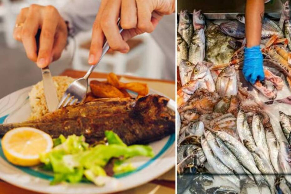 pesce con più mercurio
