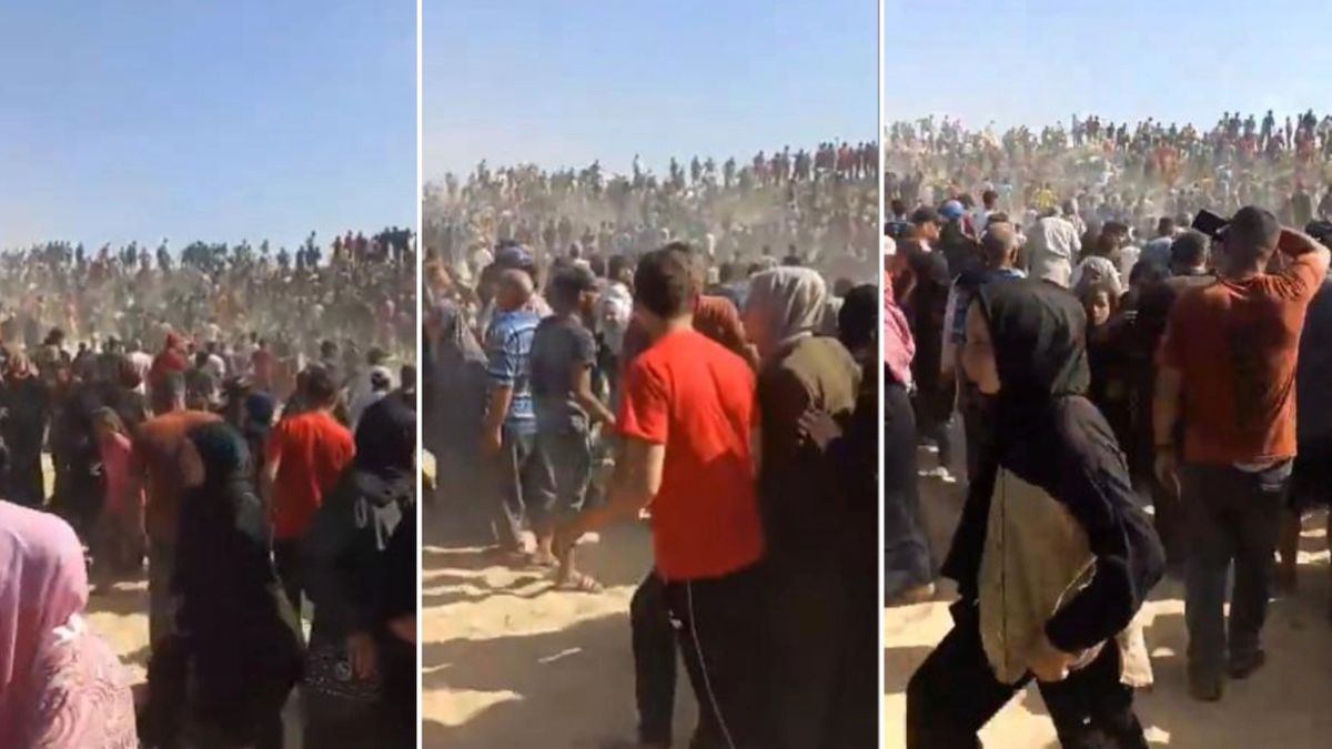 Gaza, caos a Rafah: assalto a centro aiuti Usa, operatori in fuga e colpi in aria Gaza, caos a Rafah: assalto a centro aiuti Usa, operatori in fuga e colpi in aria