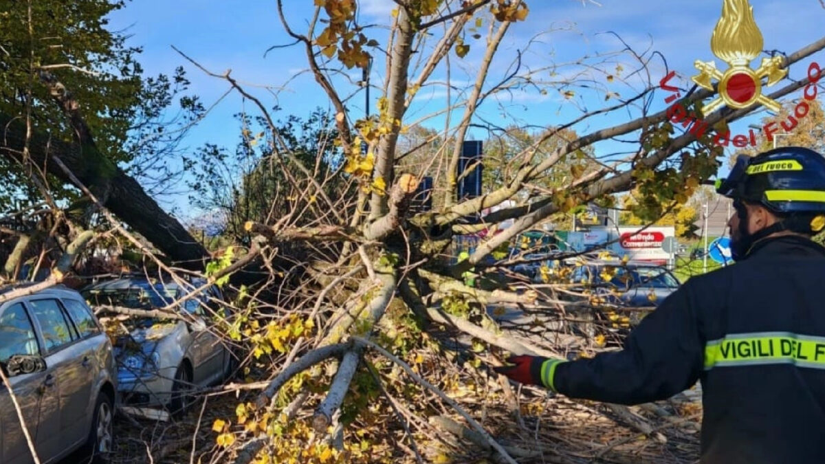Italia, raffiche di vento abbattono alberi e colpiscono auto: è caos Italia, raffiche di vento abbattono alberi e colpiscono auto: è caos