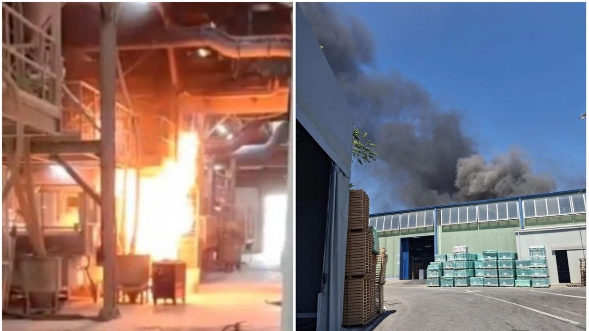 Incendio spaventoso nell’azienda italiana: crolla il tetto, esplodono i macchinari Incendio spaventoso nell’azienda italiana: crolla il tetto, esplodono i macchinari