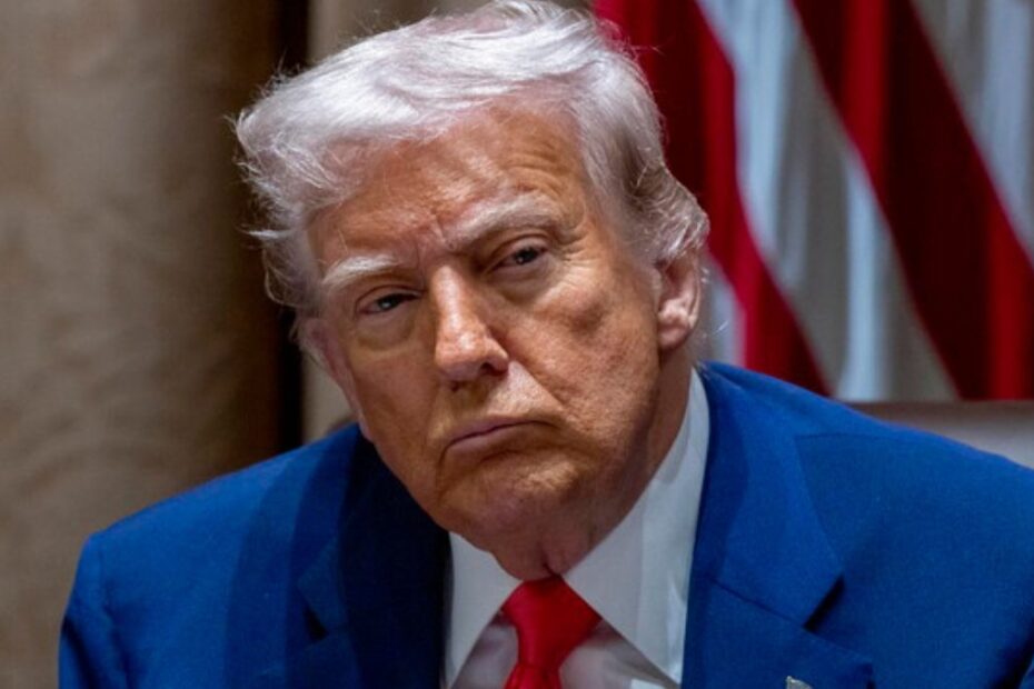 sondaggio Trump presidente europei